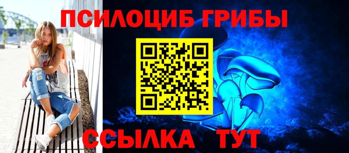 Галлюциногенные грибы Psilocybe Алушта