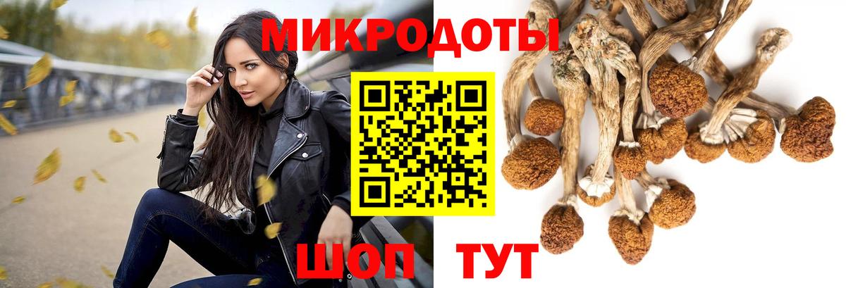 Алушта  Псилоцибиновые грибы Psilocybe  Вход с VPN 